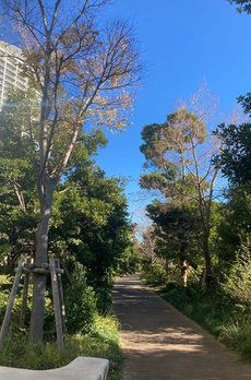 ＳＫＹＺ　ＴＯＷＥＲ　＆　ＧＡＲＤＥＮ 