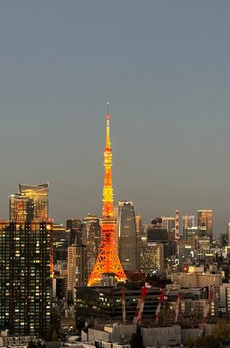 白金ザスカイ　イースト 