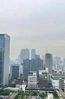 ブランズタワー芝浦 