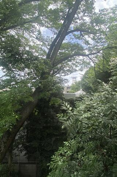 白金台ローヤルコーポ 
