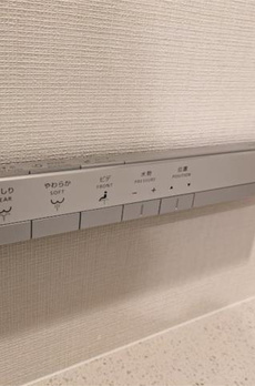 ブランズ牛込柳町 
