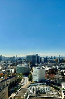 シティタワー新宿 