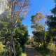 ＳＫＹＺ　ＴＯＷＥＲ　＆　ＧＡＲＤＥＮ 