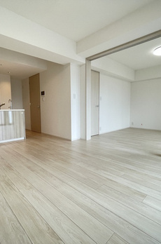 ディアレイシャス錦糸町 
