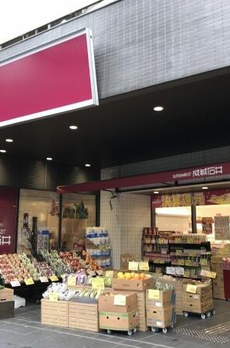 モテキビル 
