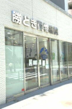 勝どきビュータワー 