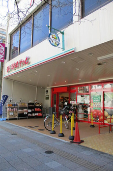 アークステラ菊川 