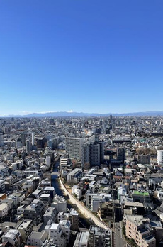 ザ・パークハウス西新宿タワー６０ 