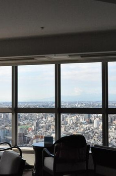 ザ・パークハウス西新宿タワー６０ 