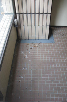 フォルム小石川 