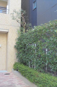ルネス大井町ゼームス坂 
