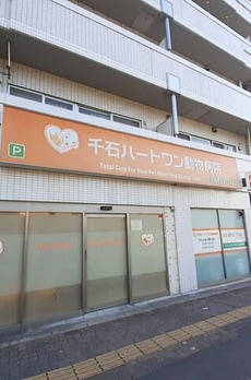リュシオル 