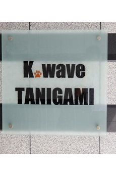 Ｋ，ｗａｖｅ　ＴＡＮＩＧＡＭＩ 