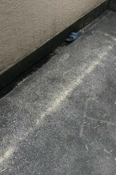 クレール武蔵小山 