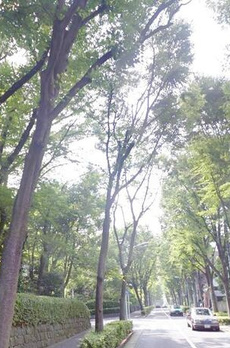 堀田坂ハウス 