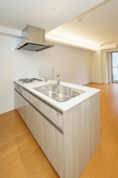 Ｔｈｅ　Ｖｅｒｌｕｘ　Ｔａｋａｎａｗａ 