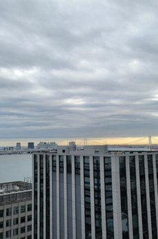 ブリリアタワー浜離宮 
