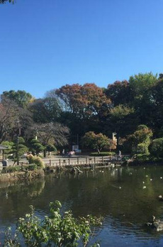 朝日リゾート 