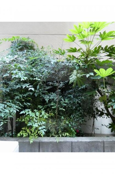 コクーン武蔵小山 