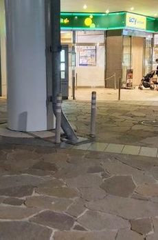東京ツインパークスレフトウイング 