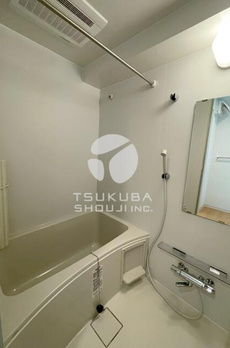 ＭＳ　Ⅰ　Ｋａｇｕｒａｚａｋａ 