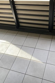 ウェリス有栖川 