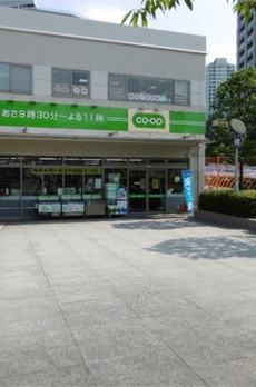 ラフィネＩＴＯ 