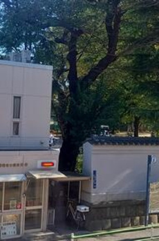 シャレーコート三田　東南公園側　専用ポーチ付 