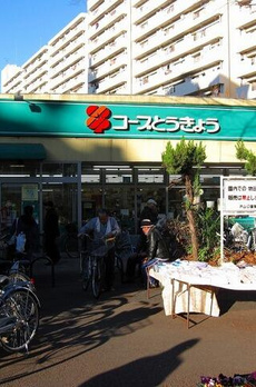 ヴィルラフィーネ東新宿 
