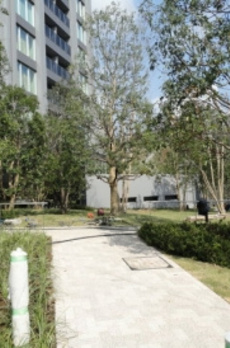 ＲＯＰＰＯＮＧＩ　ＴＯＫＹＯ　ＣＬＵＢ　ＲＥＳＩＤＥＮＣＥ 