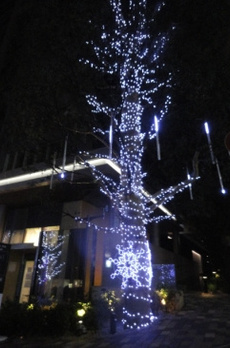 ＲＯＰＰＯＮＧＩ　ＴＯＫＹＯ　ＣＬＵＢ　ＲＥＳＩＤＥＮＣＥ 