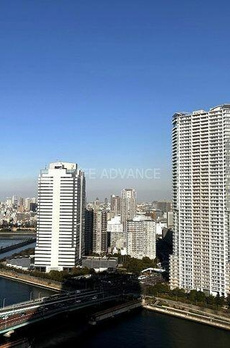 パークタワー晴海 