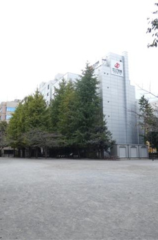 ＭＯＤＩＥＲ　ＮＩＨＯＮＢＡＳＨＩ　ＮＩＮＧＹＯＣＨＯ 
