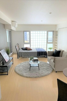 ニューシティアパートメンツ新川Ⅱ 