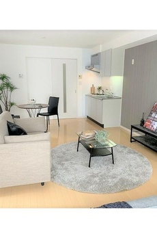 ニューシティアパートメンツ新川Ⅱ 