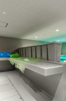 ＴＨＥ　ＣＬＡＳＳ　ＭＩＮＡＭＩＡＺＡＢＵ 