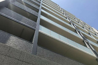 フレンシア菊川