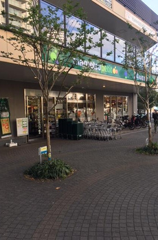 シティタワー品川 