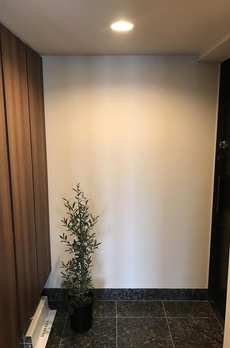 ザ・パークハウス月島ディアスタ 