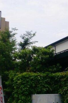 パレス碑文谷 