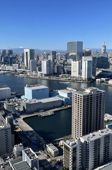 ザ・東京タワーズミッドタワー 