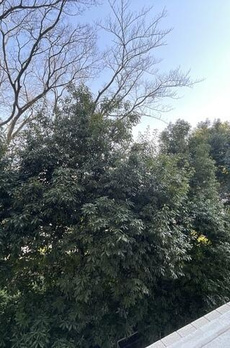 マスタービューレジデンス 