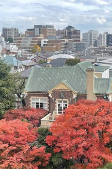 ＲＯＯＴｓ　Ｂｕｎｋｙｏ　Ｏｔｏｗａ 