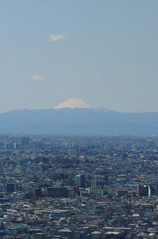 パークシティ武蔵小山ザ・タワー 