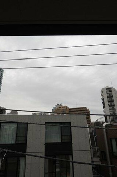 プルメリア 