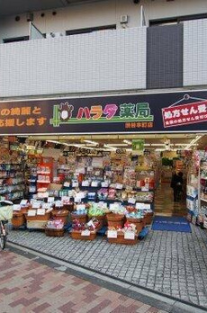 プルメリア 