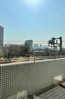 シャネックス 