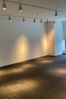 セントラルパークタワーラトゥール新宿ＳＯＨＯ区画 