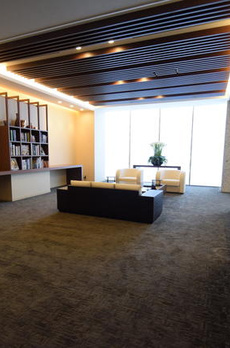 ザパークハウス西新宿タワー６０ 