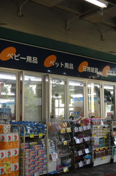 ＪＢ　ＳＱＵＡＲＥ　ＫＹＯＤＯ 